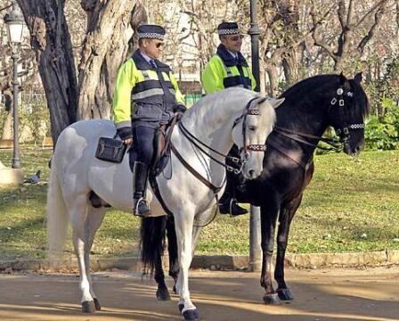 FOTO: Britská policie